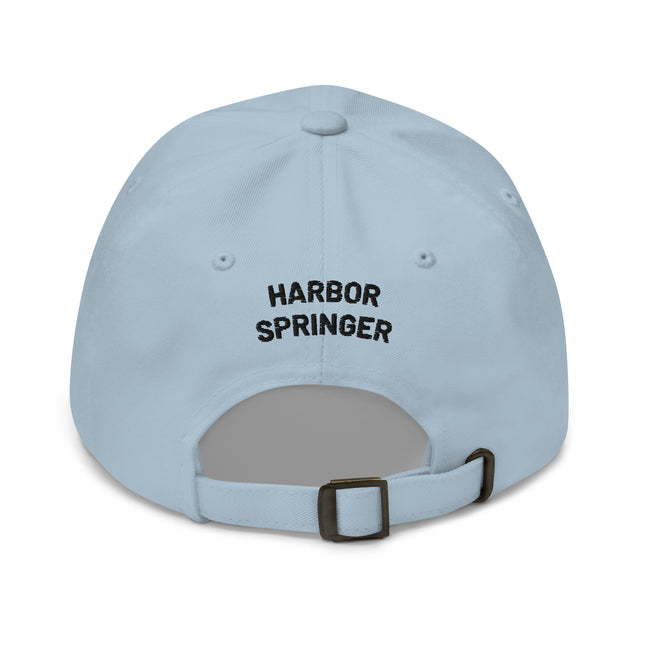 Light blue dad hat by the Harbor Springer brand.